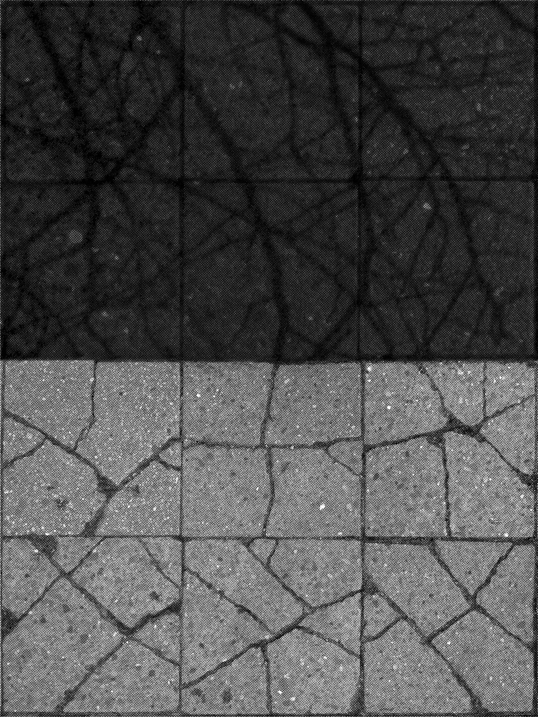 Alexander Wolff, Daycracks and Nightshadows I